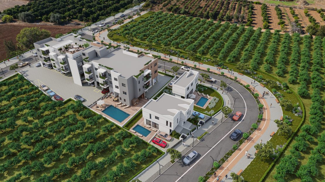 תמונת וידאו